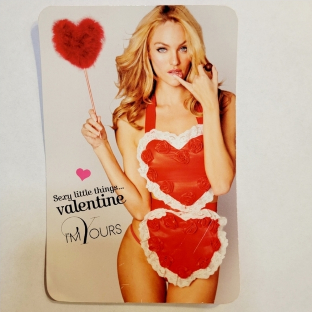 Victoria's Secret Sexy Little Things Valentine Costume